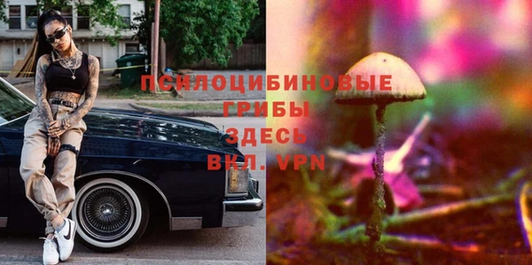 спиды Няндома