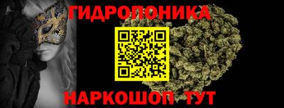 apvp Дубна