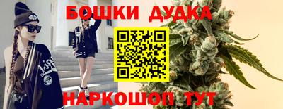 apvp Дубна